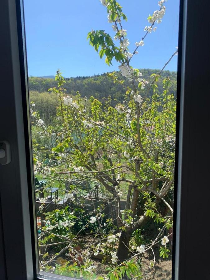 Apartament El Naranjo, Reate Lss00277 Usúrbil Zewnętrze zdjęcie